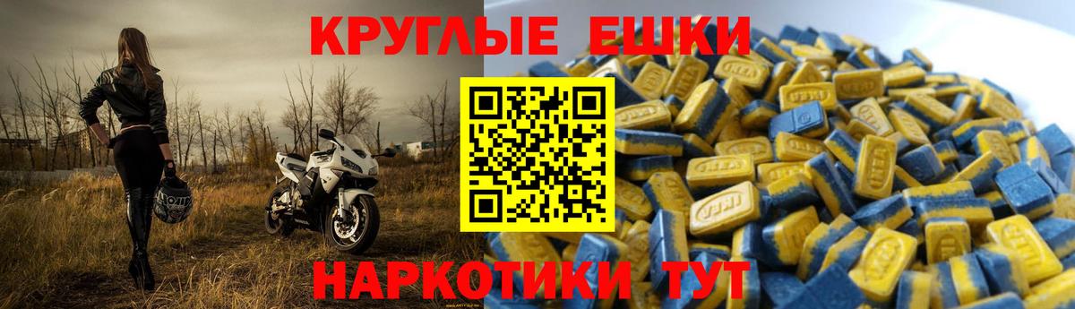 Ecstasy Philipp Plein  Ecstasy 99%  Вход с VPN  Экстази  Кудрово 