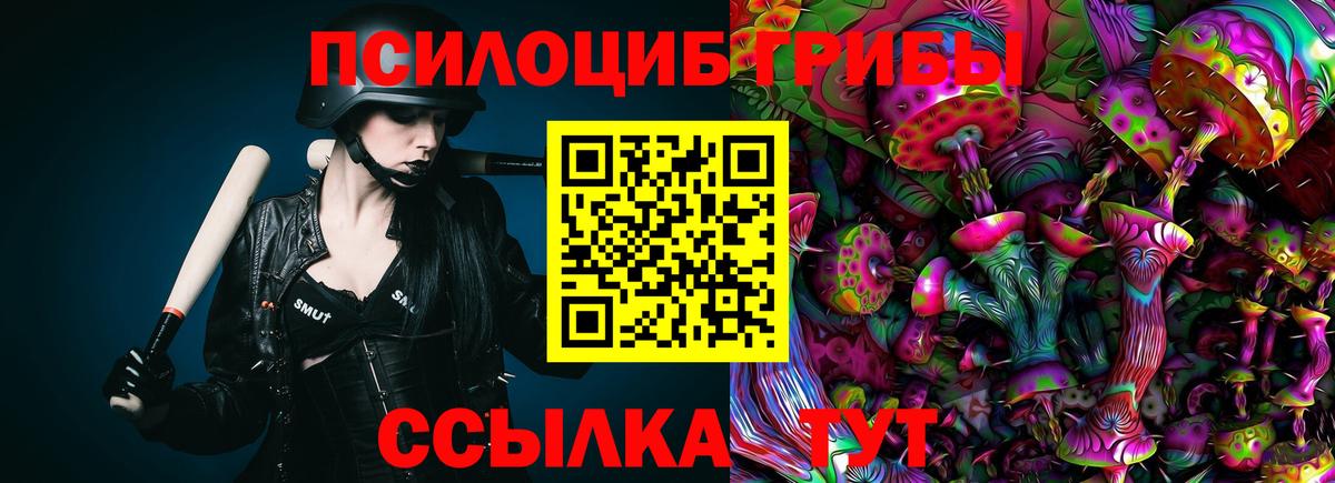 Псилоцибиновые грибы мухоморы Кудрово